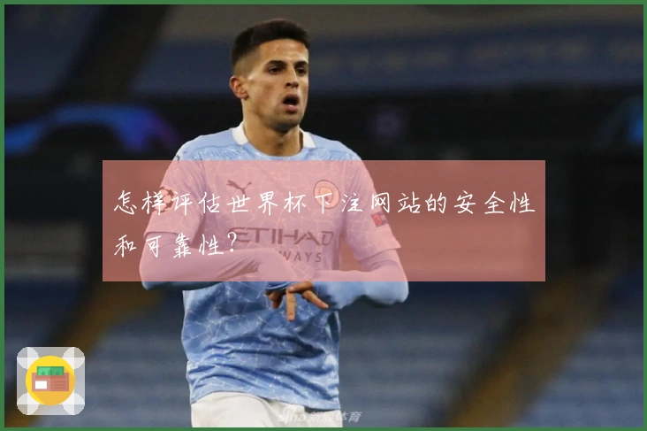 怎样评估世界杯下注网站的安全性和可靠性？